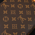 louis-vuitton-cannes-trunk-bag-monogram-canvas-with-gold-tone-hardware Crossbody